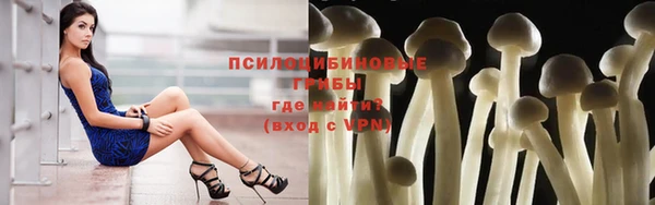 кокс Надым