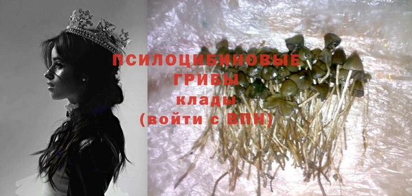 мдпв Наволоки