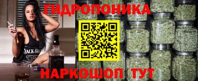дживик Гусь-Хрустальный
