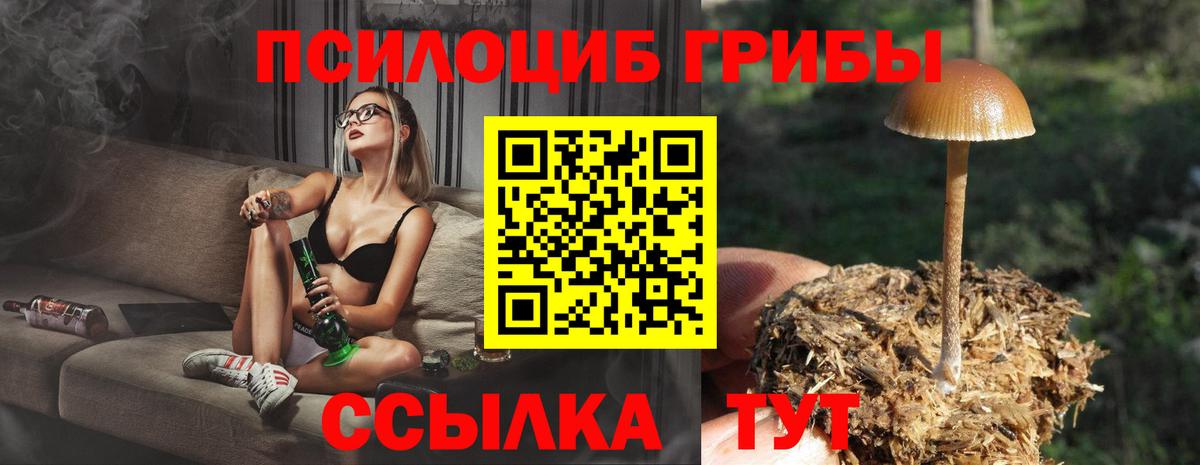 Псилоцибиновые грибы GOLDEN TEACHER Ишимбай