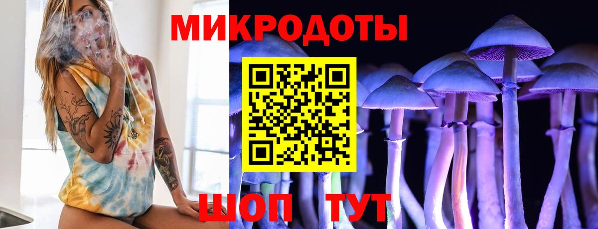 Ишимбай  Псилоцибиновые грибы мухоморы  Вход с VPN 